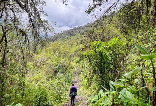 Trek en Ouganda