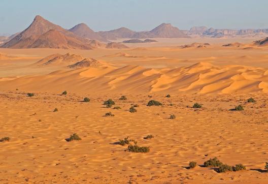 Randonnée sur un plateau et dunes en Algérie