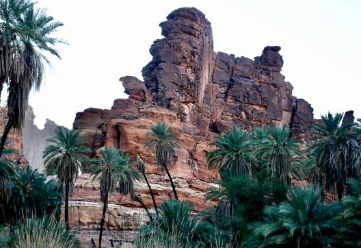 Randonnée dans le Wadi Disah