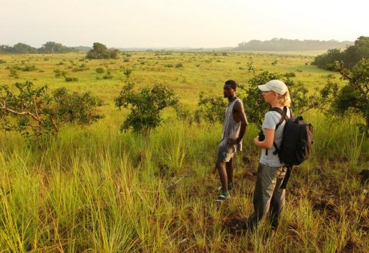 Randonnée dans les paysages du Gabon