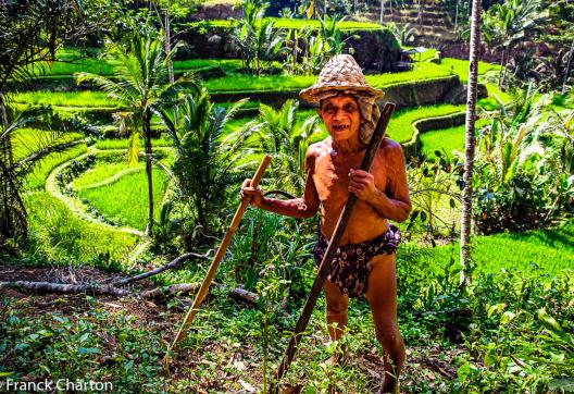 Rencontre avec un balinais dans sa rizière sur l'île de Bali