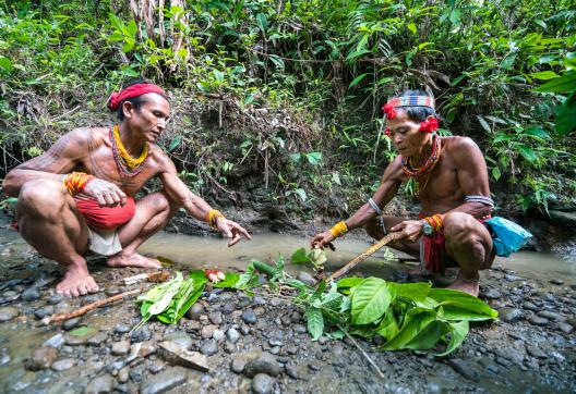 Randonnée avec des chamans mentawaï en forêt sur Siberut