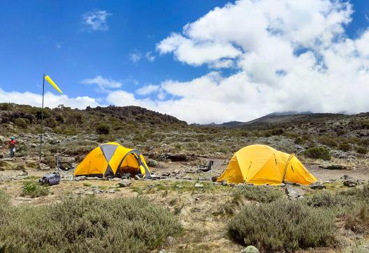 Ascension du Kilimandjaro à 5895 mètres en Tanzanie