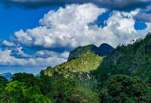 Randonnée dans la vallée de Sumidero