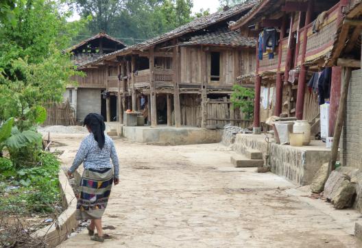 Randonnée vers un village traditionnel des bailuo yi au sud-est du Yunnan