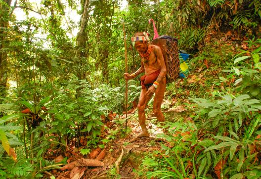 Trek vers la vallée d'Attabai sur l'île de Siberut