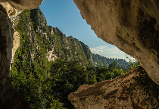 Randonnée dans un paysage karstique truffé de grottes à Kalimantan sur l'ile de Bornéo
