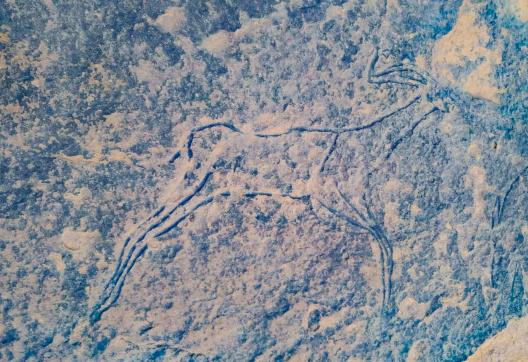 Gravure rupestre dans l'oued Djerat
