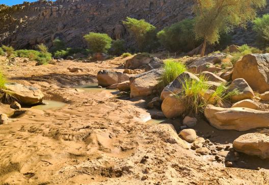 Randonnée dans l'oued Djerat