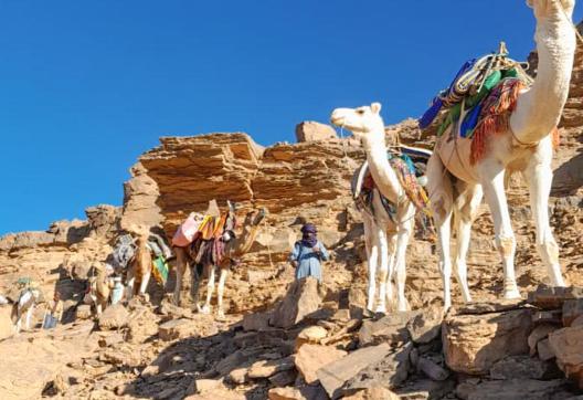 Randonnée chaemelière dans l'oued Djerat