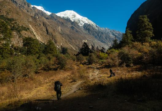 Nepal, Langtang trek
