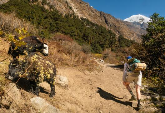 Nepal, Langtang trek