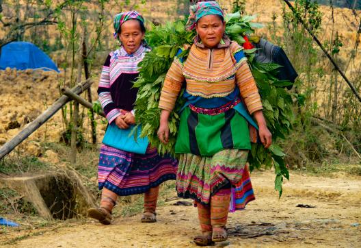 Trekking avec des femmes hmong fleur en marche vers leur village dans la région de Bac Ha