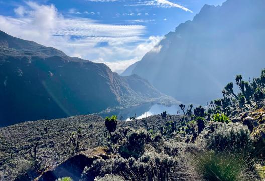 Ascension des Rwenzori et safari en Ouganda