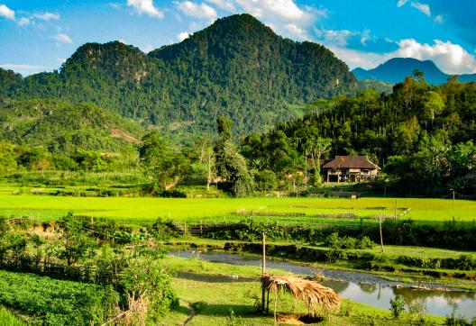 Trekking vers les rizières et paysage karstique dans les montagnes du nord Vietnam
