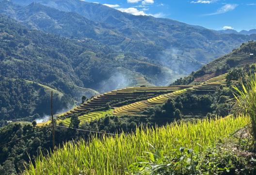 Randonnée près de rizières en terasses de Muong Lo