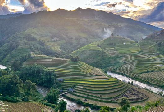 Randonnée près de rizières en terasses de Muong Lo