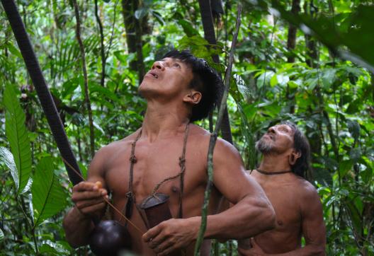 Waoranis en Amazonie équatorienne