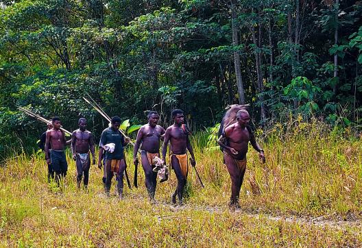 Découverte d'un retour de chasse des Papous Keuw  au nord de la Papouasie indonésienne