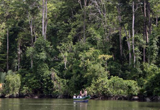 Navigation en bateau sur le fleuve Warenai dans la région de Nabire