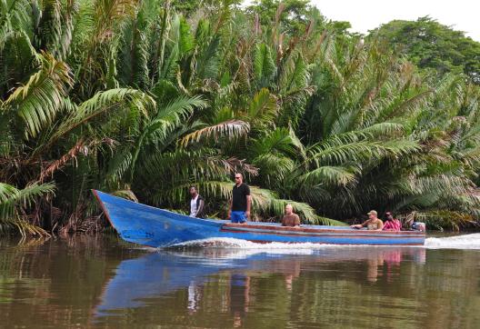 Découverte en bateau de la mangrove cotière dans la région de Nabire