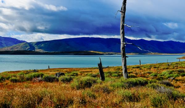 Glacier Perito Moreno sur le lac Argentin en Patagonie Argentine