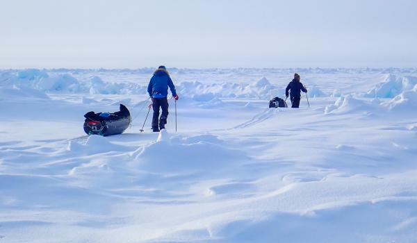 Atteindre le Pôle nord en ski polka