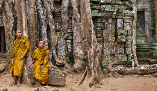 Moines au temple de Ta Prohm au Cambodge