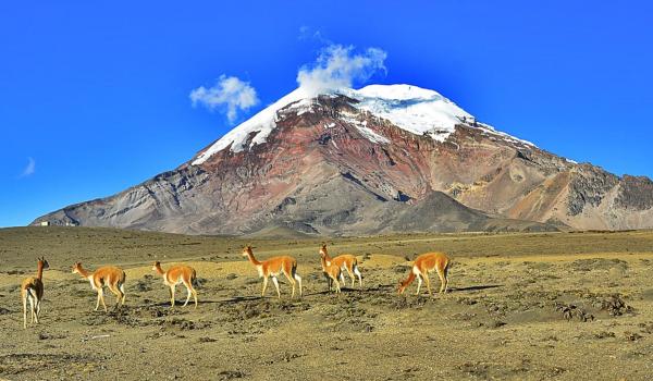 Chimborazo à 6 268 m dans les Andes en Équateur