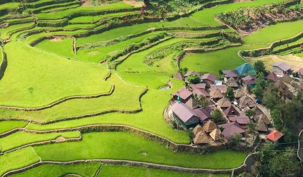 Village de la Cordillera au milieu des rizières aux Philippines 