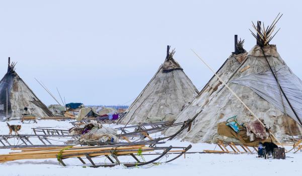 Camp Nénètses en Russie