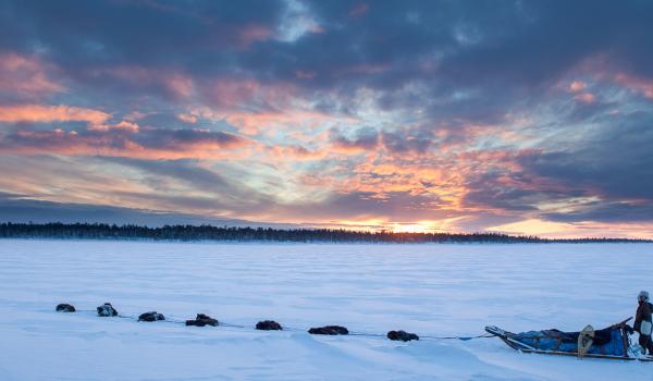 Raid en chien de traineau sur le lac Inari