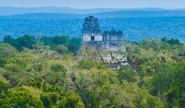 Tikal dans le Petén au Guatemala