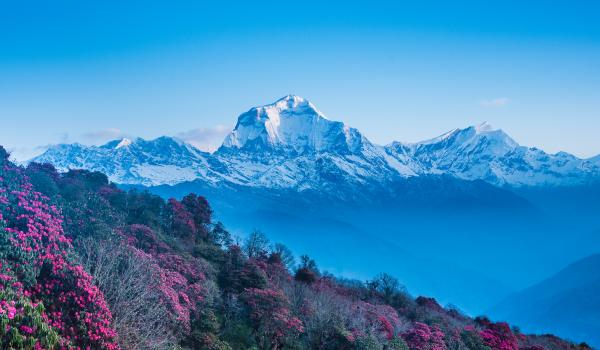 Le Dhaulagiri à 8160 m et le Tukuche peak depuis Poon Hill au Népal