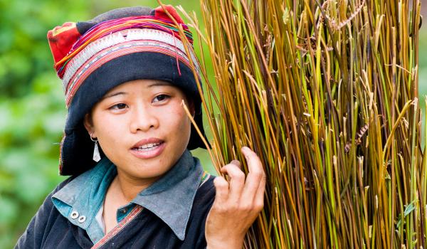 Femme dao rouge au Vietnam