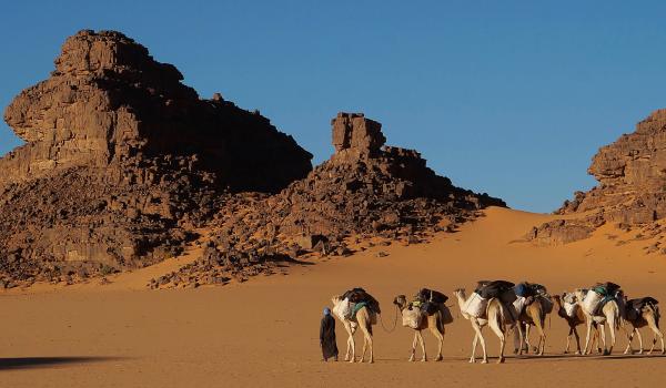 Méhariste dans un univers minéral en Algérie