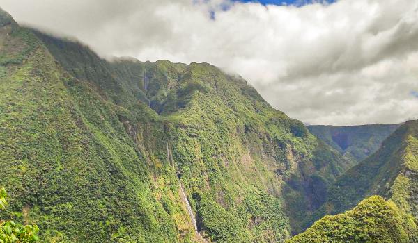 Cascade et végétation luxuriante de la Réunion