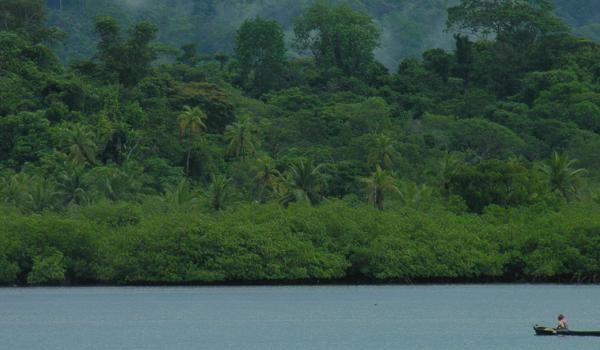 La nature luxuriante au Panama