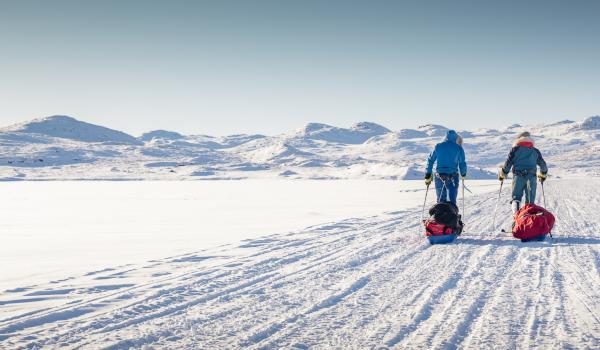 Progression en ski pulka sur la banquise groenlandaise