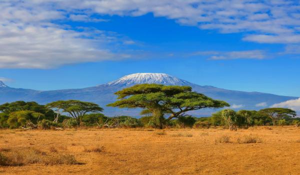 Face à la savane et au Kilimandjaro