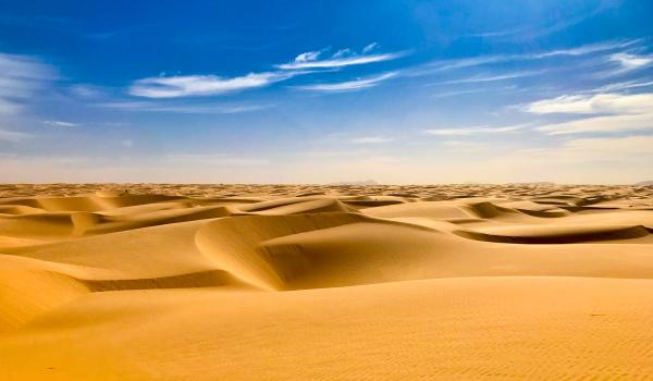 Dunes de Cléwa en Mauritanie