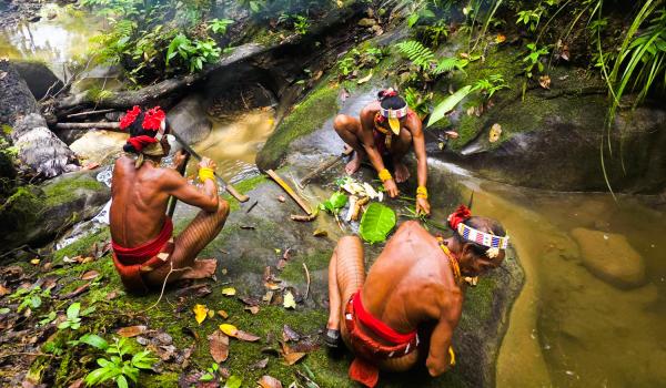 Préparation de la potion mentawaï