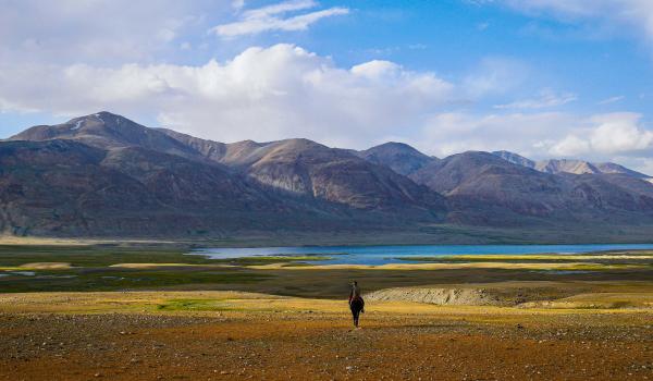 Cavalier nomade au lac Chaqmaqtin dans le corridor de Wakhan