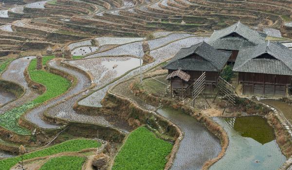 Randonnée vers les rizières en terrasses de Jiabang au Guizhou oriental