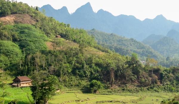 Randonnée dans les montagnes des Alpes Tonkinoises au nord-ouest du Vietnam