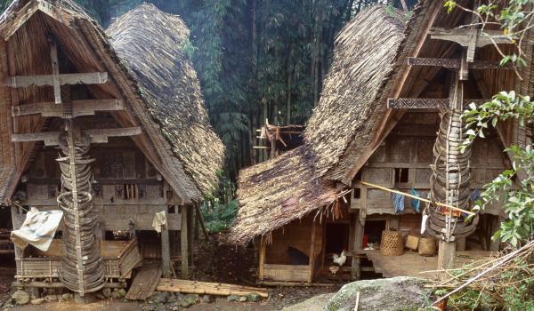 Randonnée vers les maisons du peuple toraja sur l'île de Sulawesi