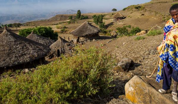 Rencontre avec Tesafa un petit berger dans le nord éthiopien