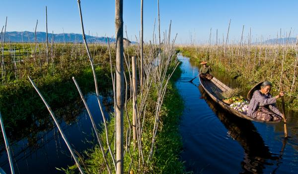 Navigation vers les jardins flottants du lac Inlé dans la région de Nampan