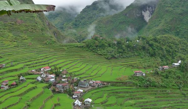 Trek vers les rizières en terrasses de Batad dans les montagnes de la Cordillera