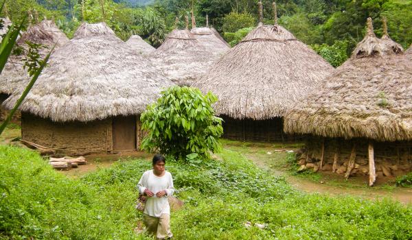 Village Kogi en Colombie